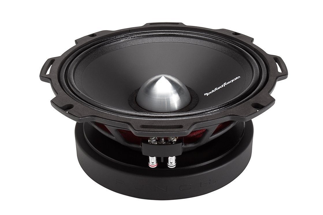 rockford fosgate 10 inch midrange