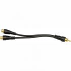 Accelevision 1576G 6" Single Male to Double Female RCA Y Connector