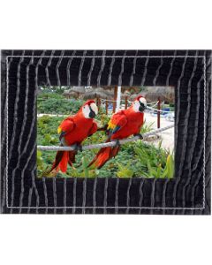 Parrot PV7NITSAL 7 inch Bluetooth Enabled Digital Frame