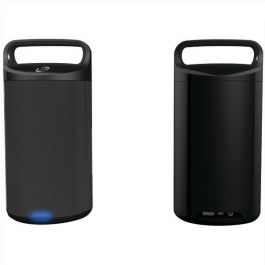 iLive ISBW2113B Indoor/Outdoor Dual 